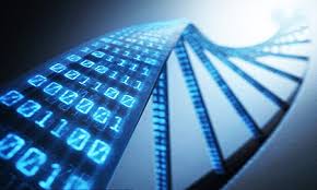 Công ty Điện tử Việt Hoa