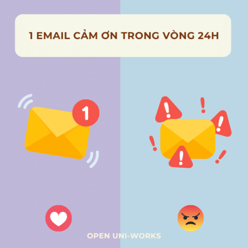 email-cam-on-trong-vòng-24h