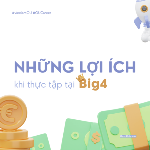 nhung-loi-ich-khi-thuc-tap-tai-big4