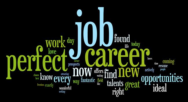 Tổ chức Hội thảo nghề nghiệp: Giới thiệu và tuyển dụng các vị trí cấp trung và làm việc cho các tổ chức, cơ quan và doanh nghiệp nước ngoài tại TP.HCM