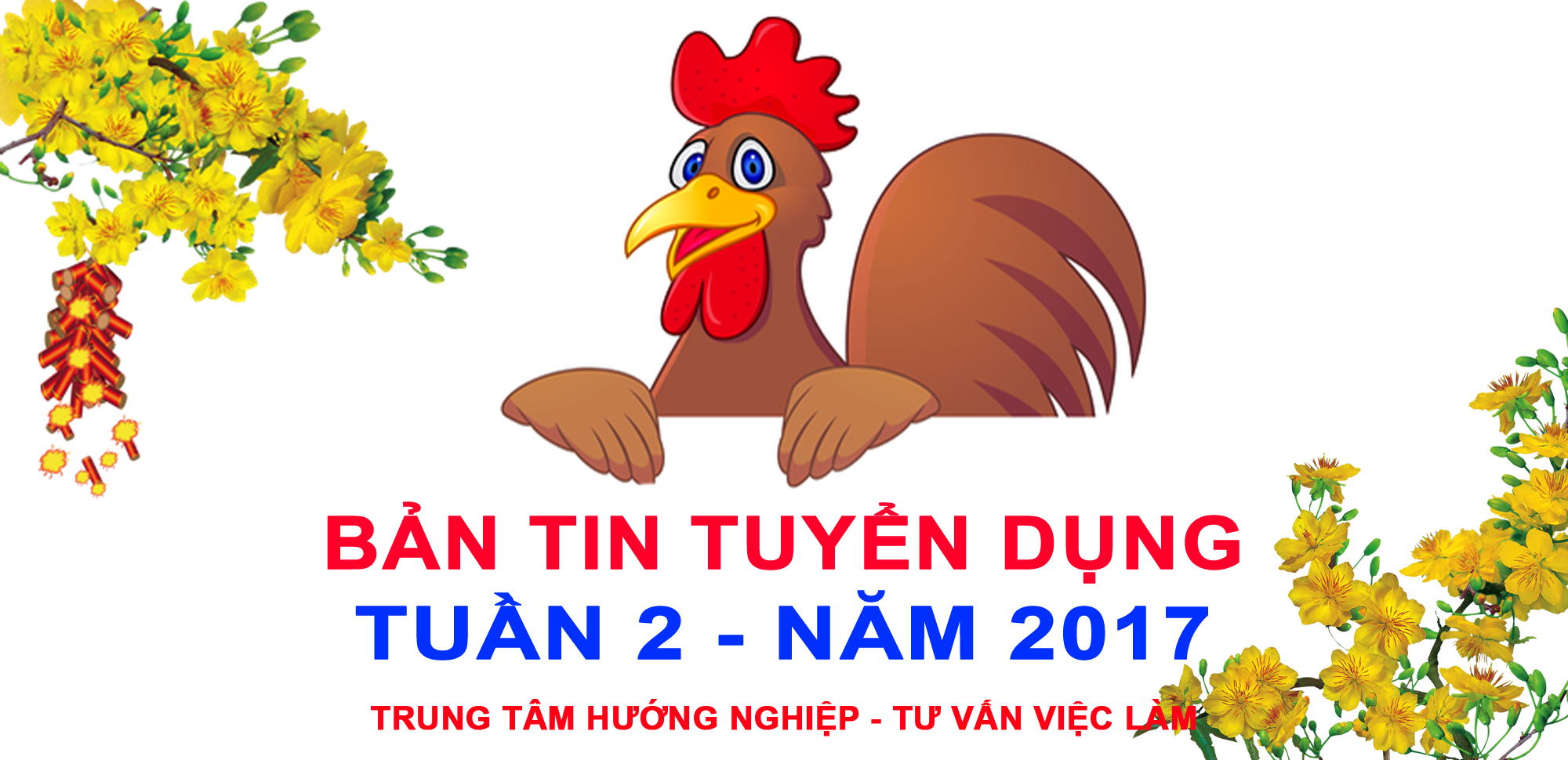 Bản tin tuyển dụng việc làm Tuần 2 - năm 2017