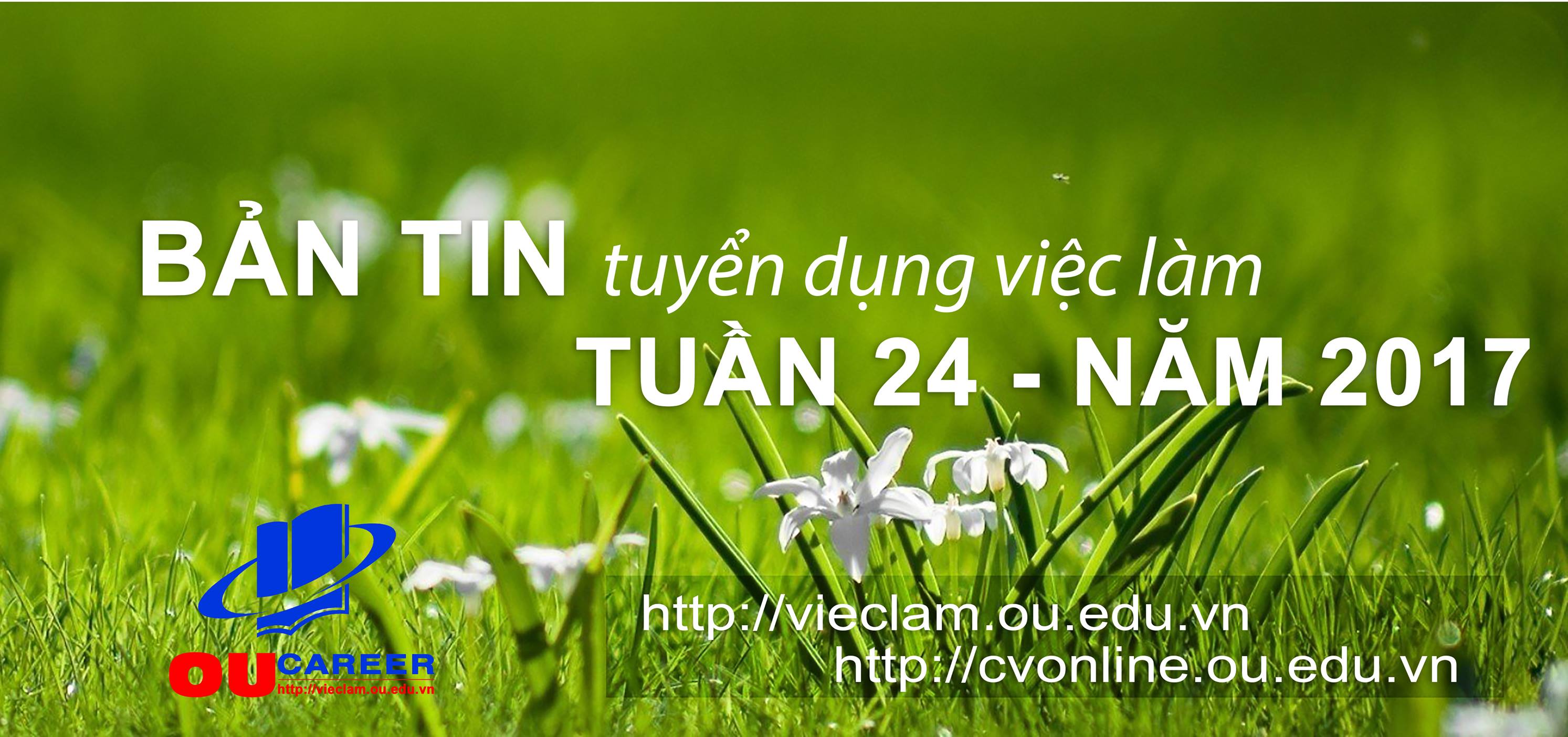 Bản tin tuyển dụng việc làm Tuần thứ 24 - năm 2017