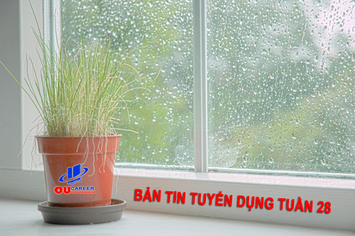 Bản tin tuyển dụng việc làm tuần thứ 28 - năm 2017