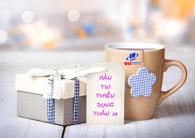 Bản tin tuyển dụng việc làm tuần thứ 29 - năm 2017