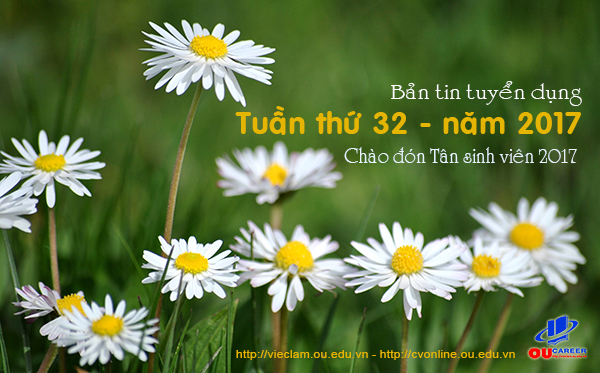 Bản tin tuyển dụng việc làm tuần thứ 32 - năm 2017