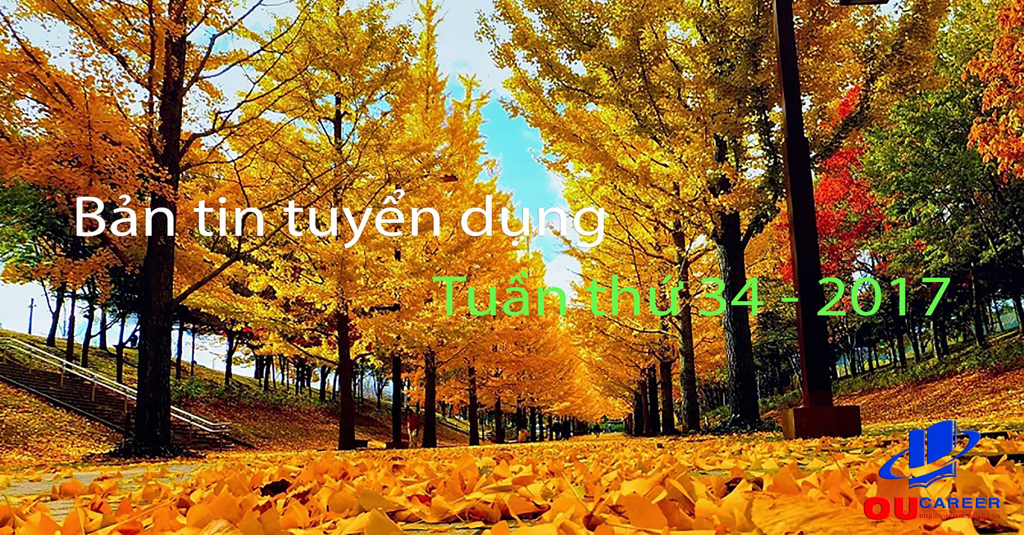 Bản tin tuyển dụng việc làm tuần thứ 34 - năm 2017