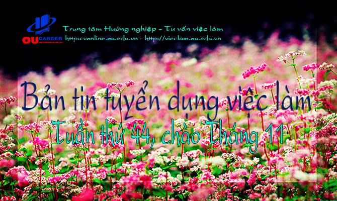 Bản tin tuyển dụng, hướng nghiệp, việc làm Tuần thứ 44 - năm 2017