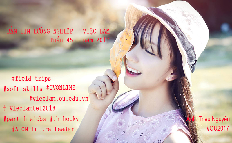 Bản tin tuyển dụng, hướng nghiệp, việc làm Tuần thứ 45 - năm 2017