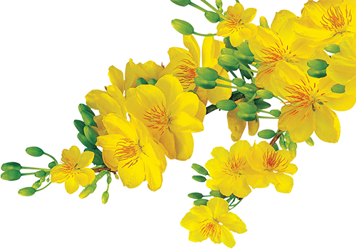 Bản tin hướng nghiệp và thông tin tuyển dụng tuần thứ 5 - năm 2018