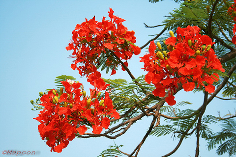 Bản tin hướng nghiệp và thông tin tuyển dụng tuần thứ 20 - năm 2018