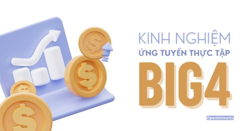 KINH NGHIỆM ỨNG TUYỂN THỰC TẬP TẠI BIG4