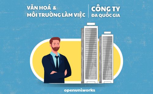 VĂN HOÁ VÀ MÔI TRƯỜNG LÀM VIỆC CỦA DOANH NGHIỆP ĐA QUỐC GIA