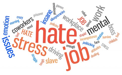 I hate my job...what's next?