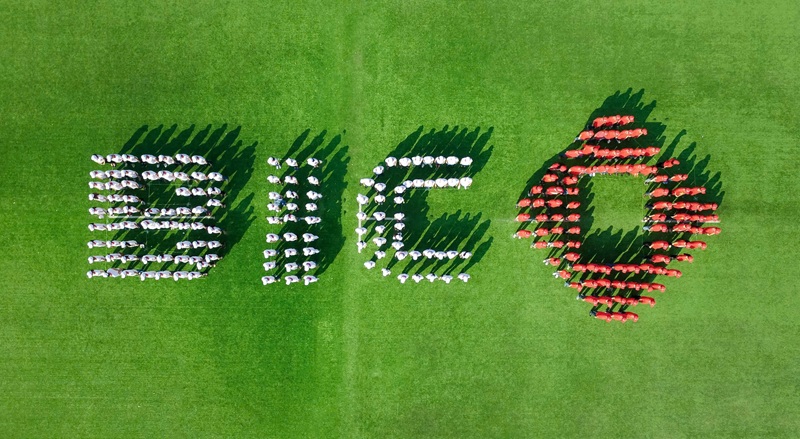 BIC-gioithieu